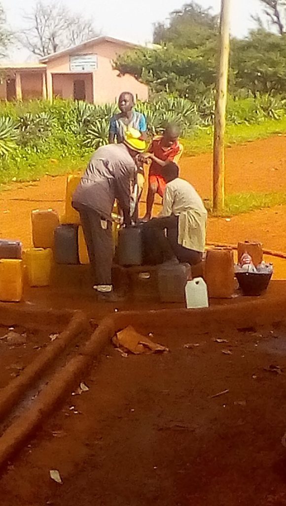 Article : Experience Fair Go Casino: Exciting Rewards and Wins Guaranteed!